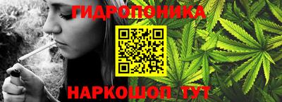 наркотики Камышлов