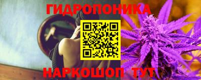 наркотики Камышлов